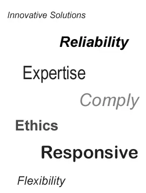 Our Values Our Values